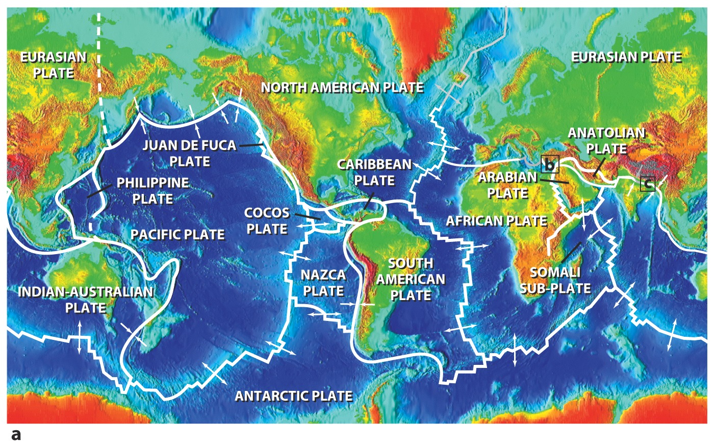 Plate Tectonics